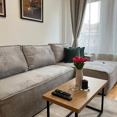 Loyal 1 * Arandjelovac