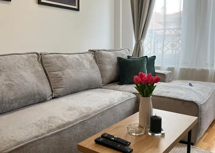 Loyal 1 * أراندجيلوفاك